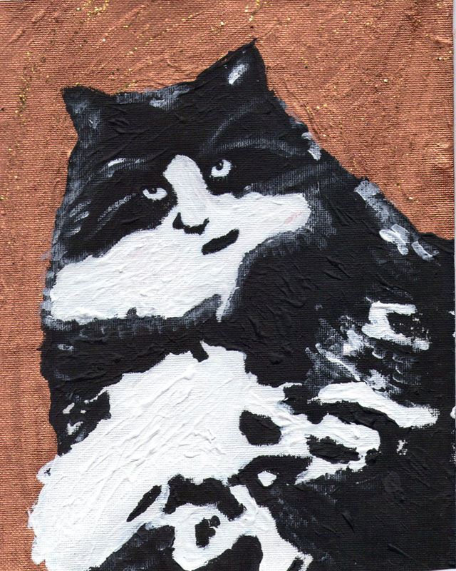 Whiskey the cat Whiskey the cat